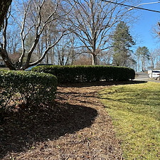 Revitalizing-this-landscape-with-detailed-shrub-pruning-in-Winston-Salem-NC 4